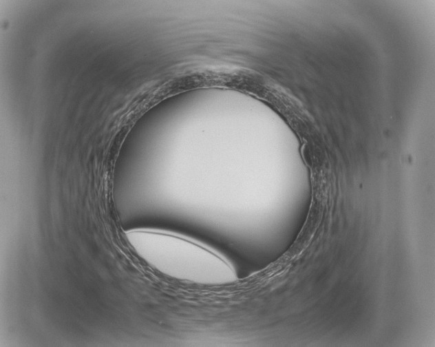 X0000082201061200701191044
