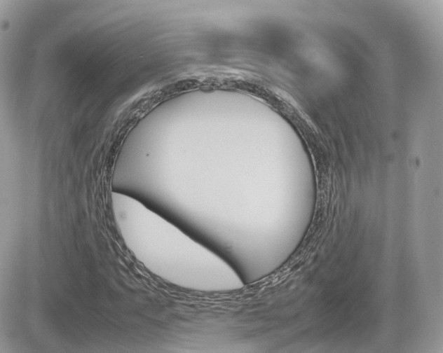 X0000082201063200701191044