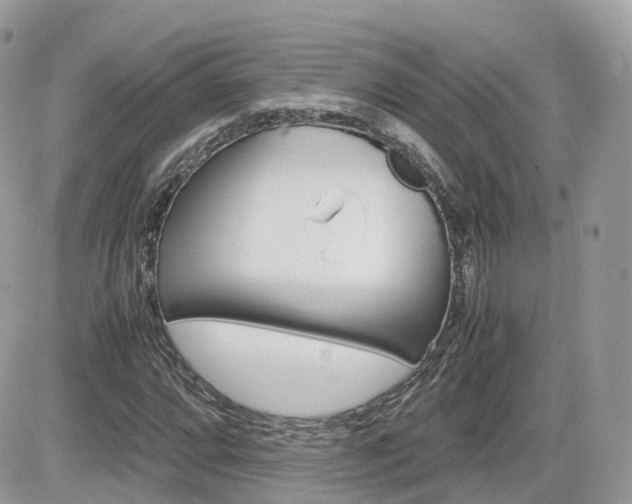 X0000082201064200701191044