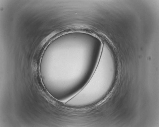 X0000082201065200701191044