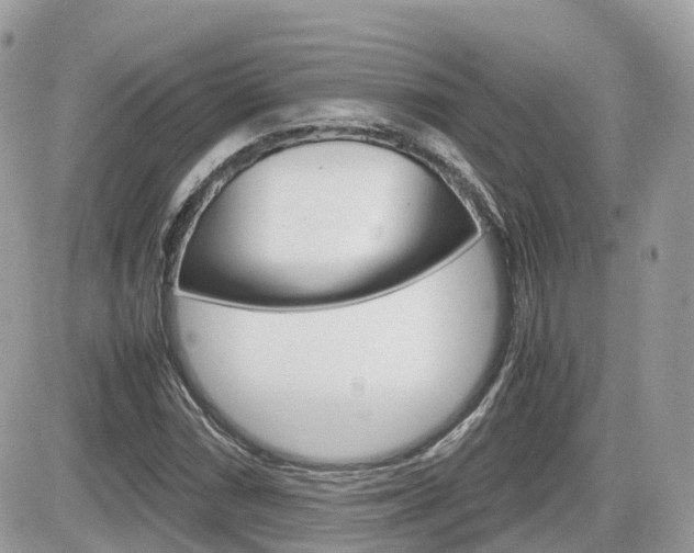 X0000082201066200701191044