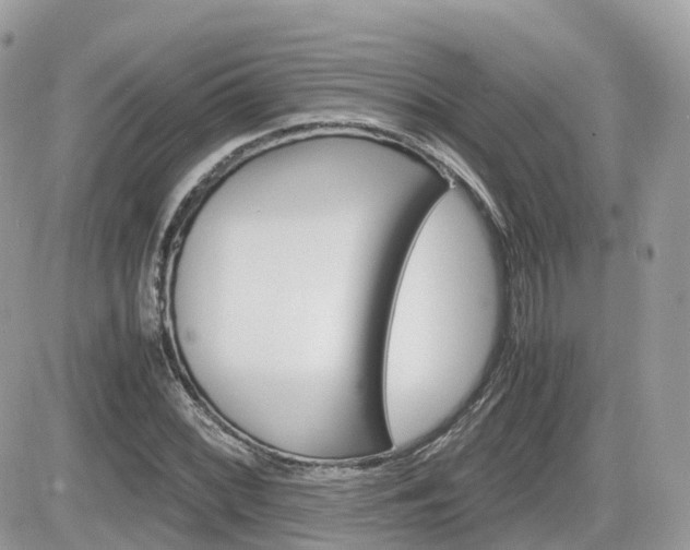 X0000082201068200701191044