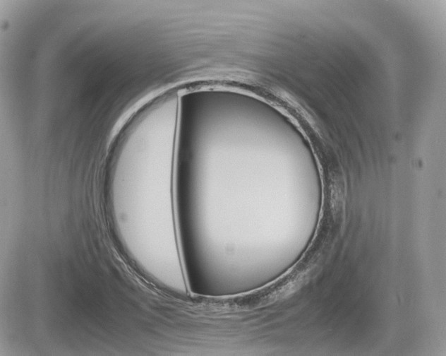 X0000082201069200701191044