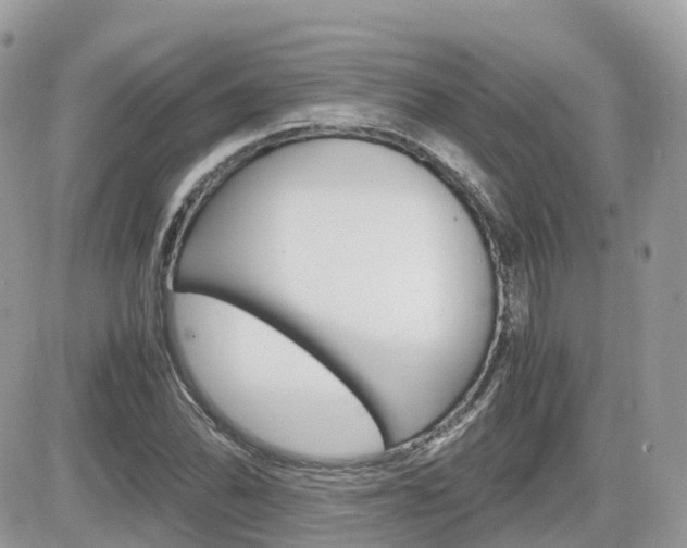 X0000082201070200701191044