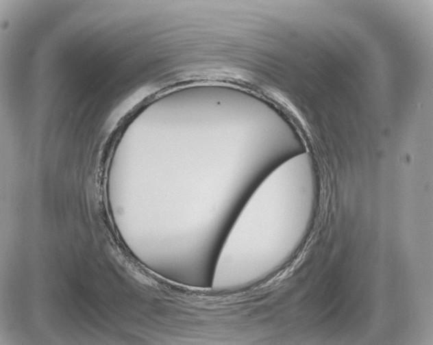 X0000082201071200701191044