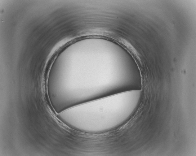 X0000082201072200701191044