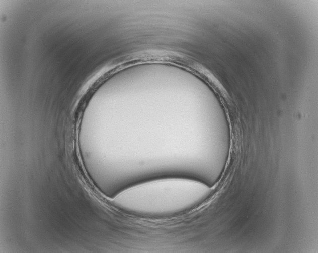 X0000082201075200701191044
