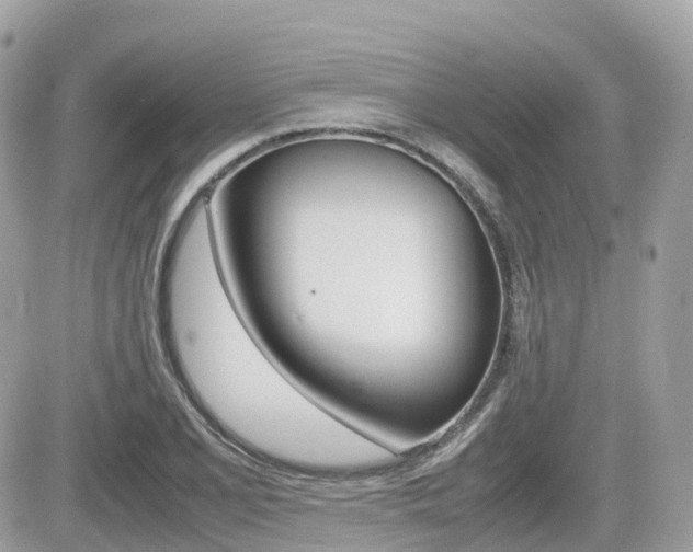 X0000082201077200701191044