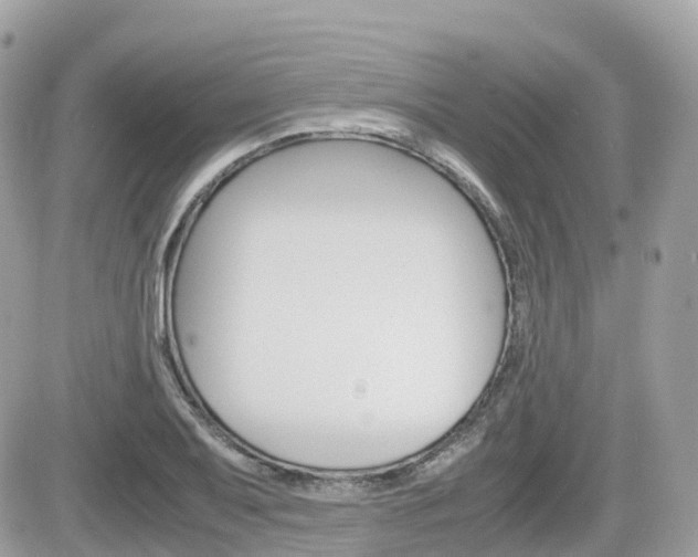 X0000082201079200701191044