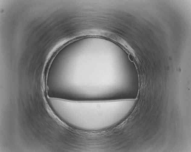 X0000082201080200701191044