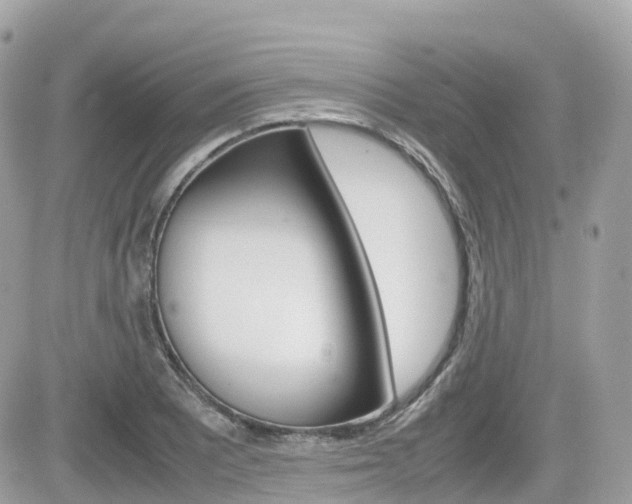X0000082201081200701191044