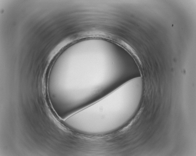 X0000082201082200701191044