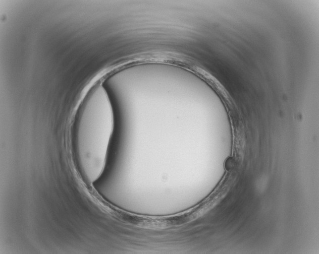 X0000082201083200701191044