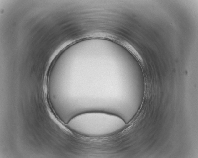 X0000082201084200701191044