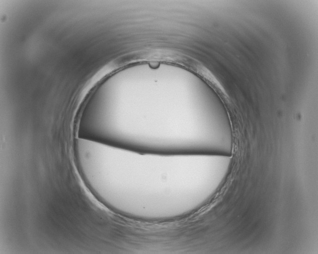 X0000082201087200701191044