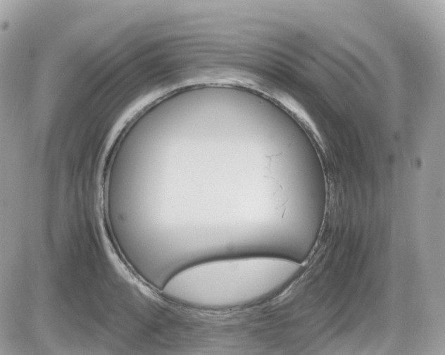 X0000082201088200701191044
