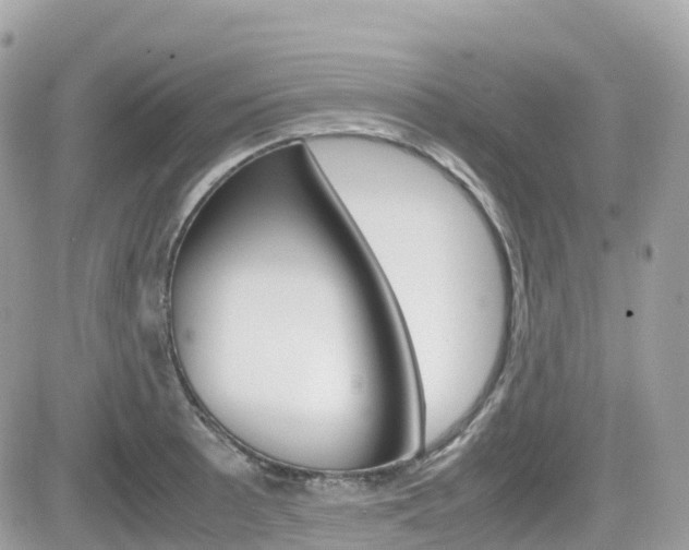 X0000082201089200701191044