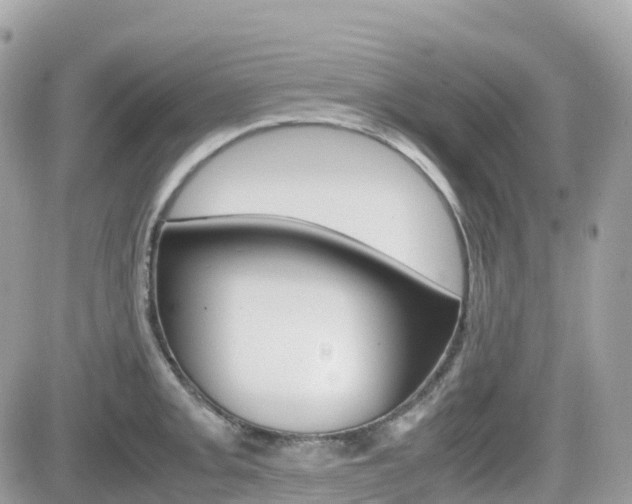 X0000082201093200701191044
