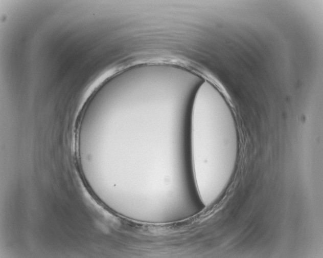 X0000082201095200701191044