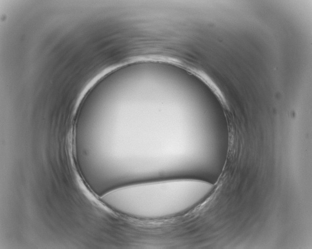 X0000082201100200701191044