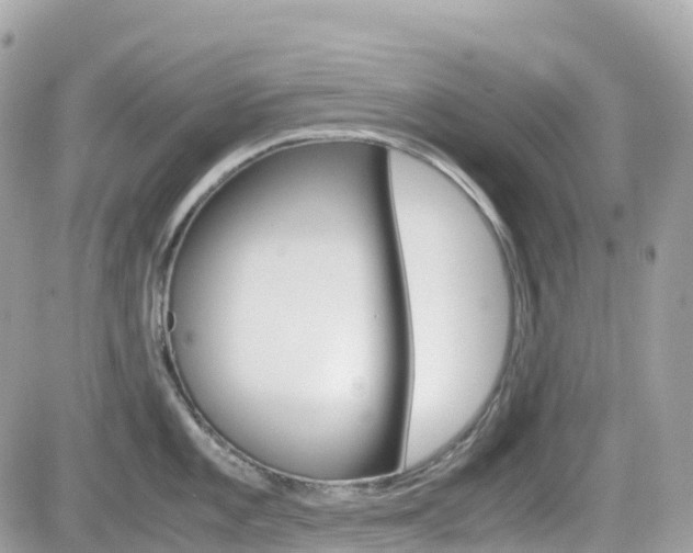 X0000082201101200701191044
