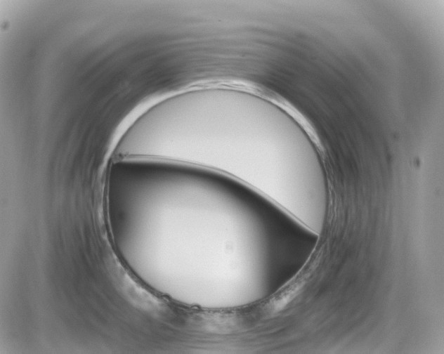 X0000082201102200701191044