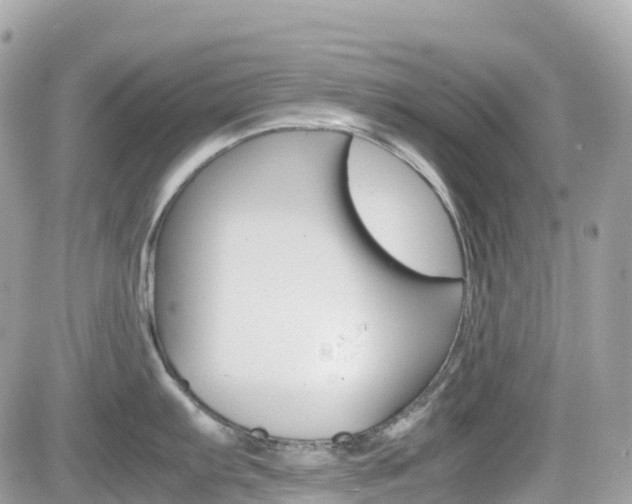 X0000082201103200701191044