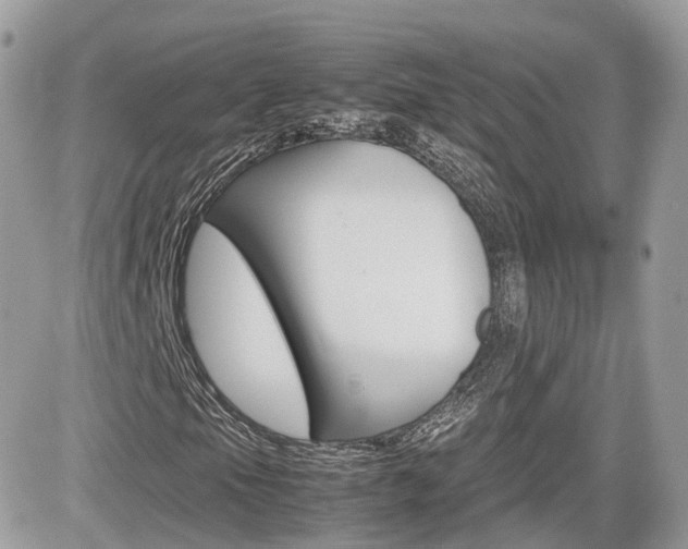 X0000082201105200701191043