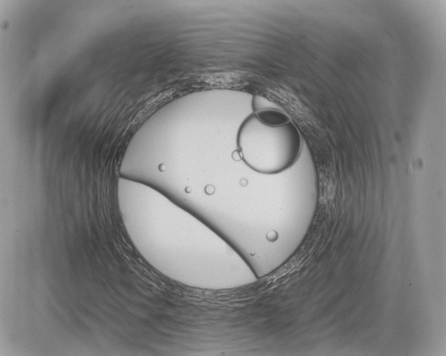 X0000082201106200701191043