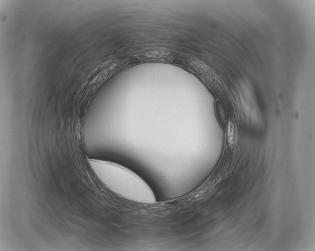 X0000082201107200701191043