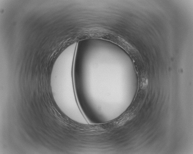 X0000082201108200701191043