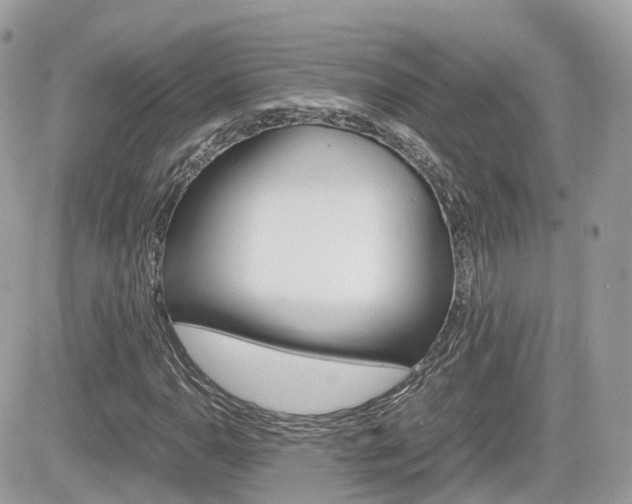 X0000082201110200701191043