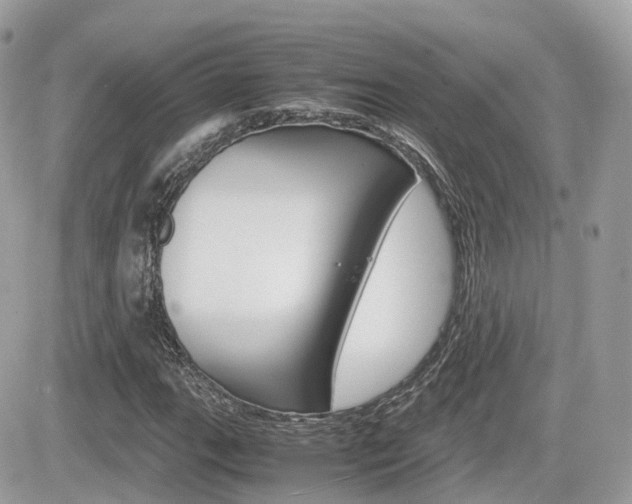 X0000082201111200701191043
