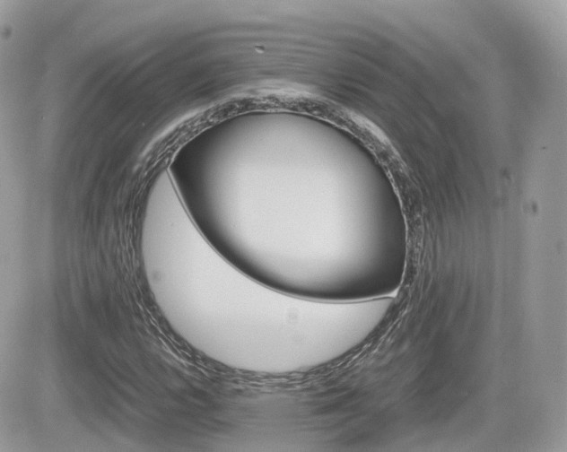 X0000082201112200701191043