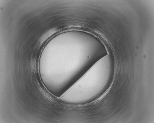 X0000082201113200701191043