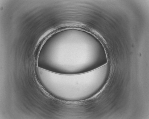 X0000082201114200701191043