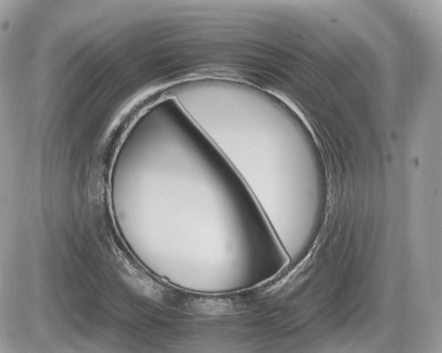 X0000082201115200701191043