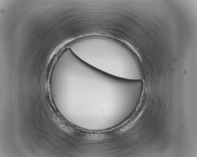X0000082201117200701191043