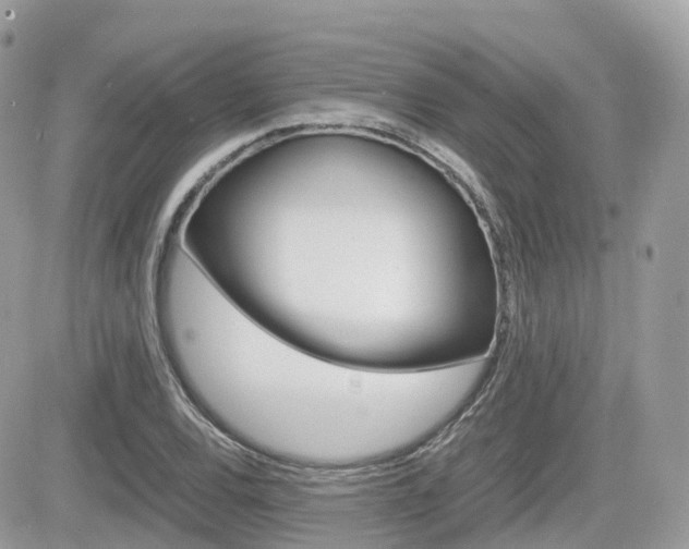 X0000082201120200701191043