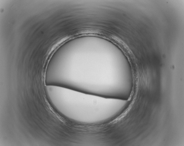 X0000082201121200701191043