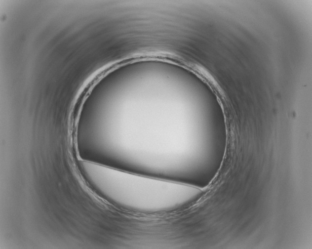X0000082201124200701191043