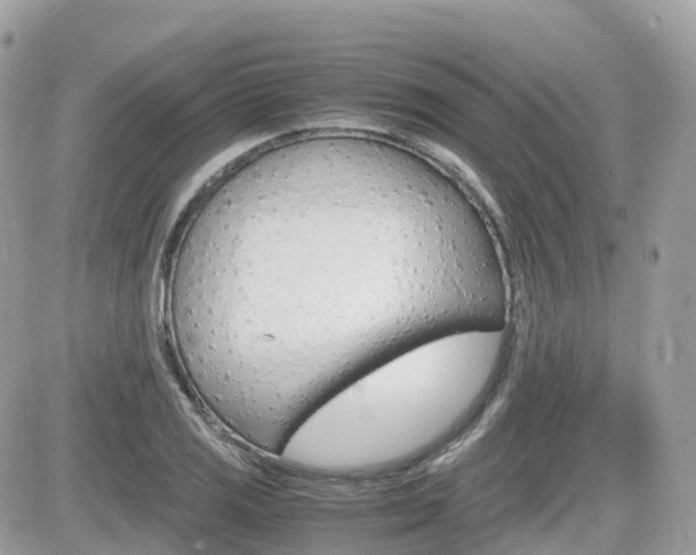 X0000082201125200701191043