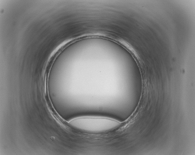 X0000082201127200701191043