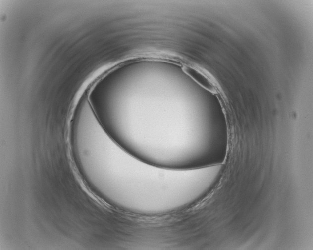 X0000082201128200701191043
