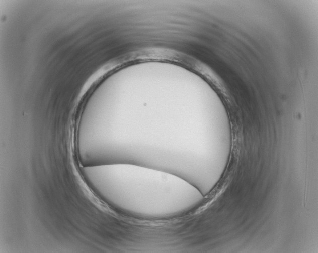 X0000082201130200701191043