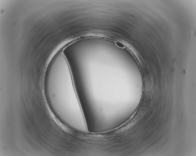 X0000082201131200701191043