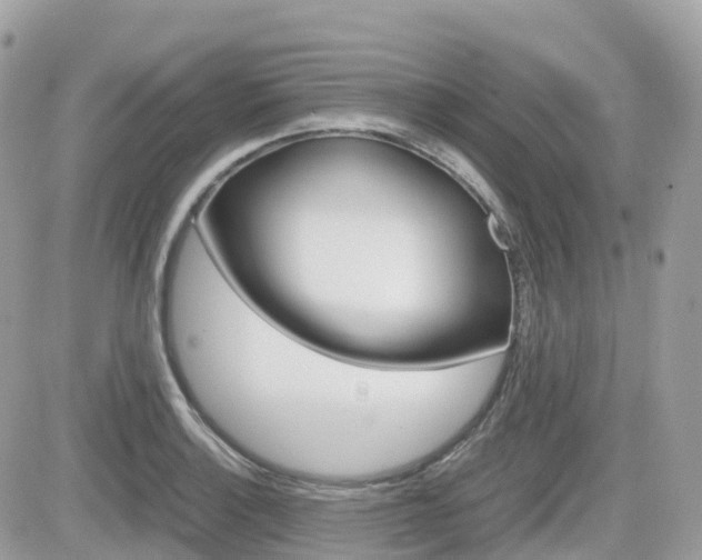 X0000082201132200701191043