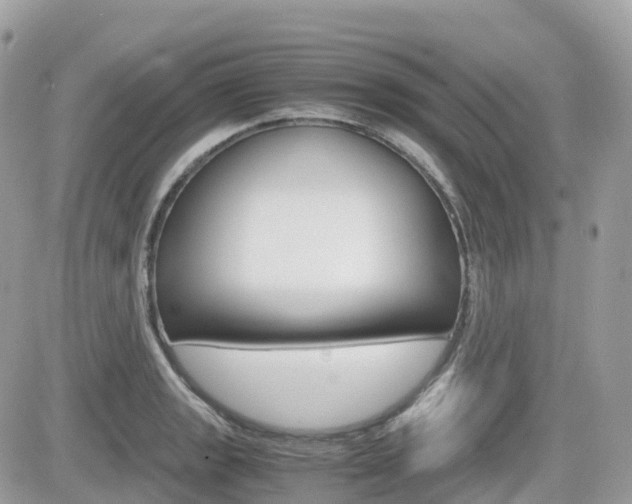X0000082201133200701191043