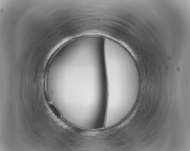 X0000082201134200701191043