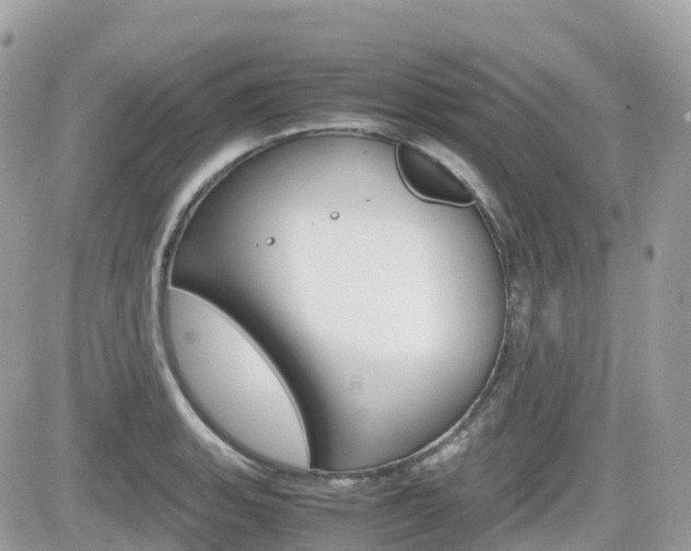 X0000082201135200701191043